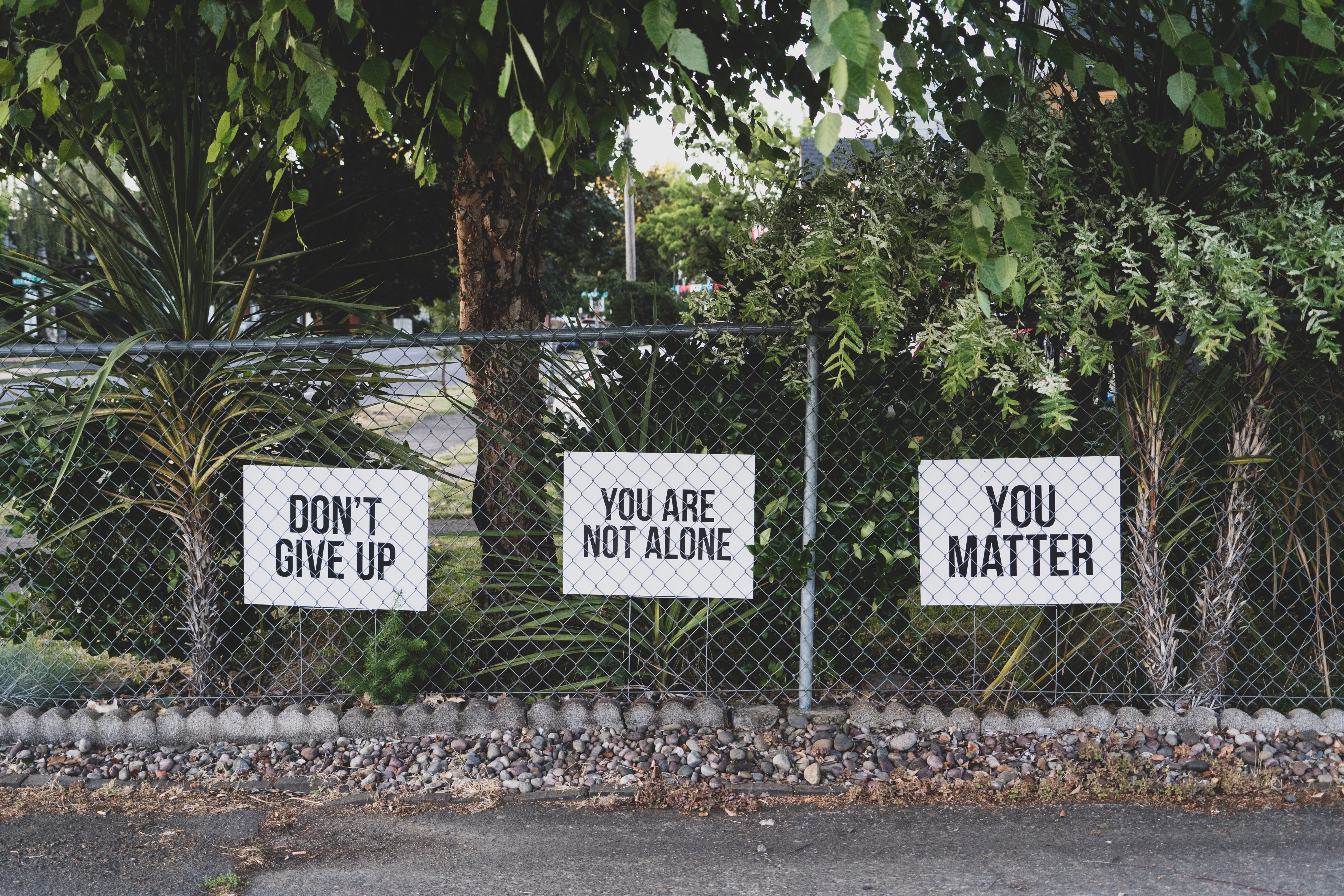 “Don't give up. You are not alone. You matter” signage on metal fence; image by Dan Meyers, via Unsplash.com.