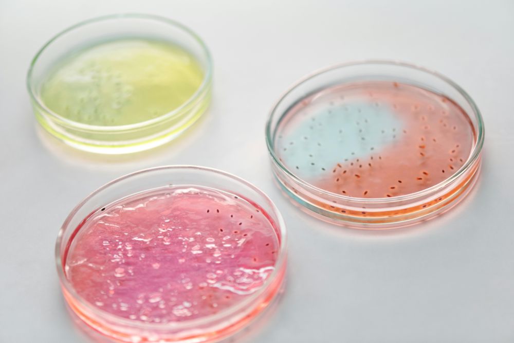 New Tool Spots Drug-Resistant Bacteria Faster