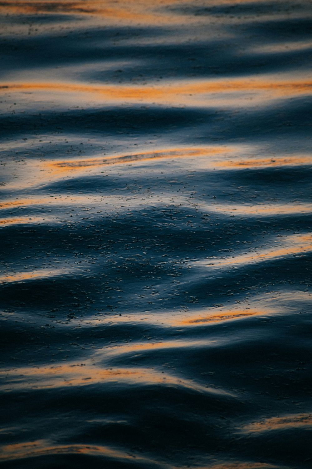 Effects Linger 15 Years After Deepwater Horizon Disaster
